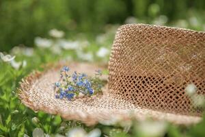 blue forget-me-not flowers on a straw hat photo