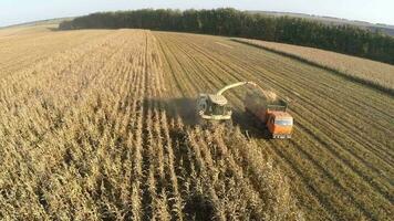 Aerial view of agricultural machinery harvesting corn video