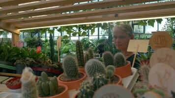 vrouw in een bloem winkel kiezen een cactus video