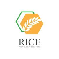 Rice or wheat grain agriculture logo design for your business and product names or for all your ideas vector