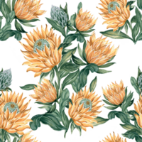 boeket bloem bloemen anemoon, roos, koning protea botanisch planten bloesem naadloos achtergrond png