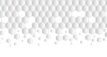 Abstract Geometric Shape Hexagon Background vector