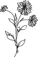 black aster tattoo,  small black aster tattoo, aster flower drawing, aster flower drawing tattoo, drawing aster September flower tattoo, aster September birth flower tattoo vector