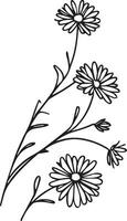 simple aster flower tattoo, Virgo September flower tattoo, aster Virgo September flower tattoo, Virgo September birth flower tattoo, small September birth flower tattoo, family birth flower tattoos vector