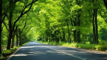 camino camino mediante el otoñal bosque natural forma, la carretera a el tropical bosque campo, relajante con ecológico ambiente, libertad estilo de vida concepto, generativo ai ilustración foto