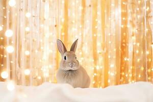 Close-up of cute rabbit with beautiful bokeh background, Generative AI illustration photo