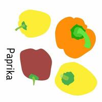 Vector illustration, paprika. With isolated white background.