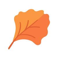 Beautiful leaf composition. Leaves change color in autumn vector