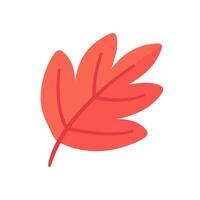 Beautiful leaf composition. Leaves change color in autumn vector