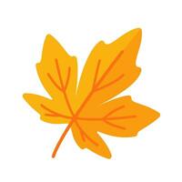 Beautiful leaf composition. Leaves change color in autumn vector