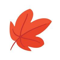 Beautiful leaf composition. Leaves change color in autumn vector