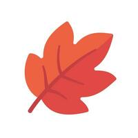 Beautiful leaf composition. Leaves change color in autumn vector