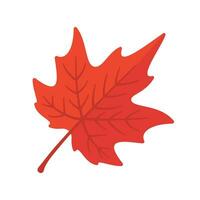 Beautiful leaf composition. Leaves change color in autumn vector