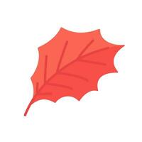 Beautiful leaf composition. Leaves change color in autumn vector