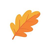 Beautiful leaf composition. Leaves change color in autumn vector