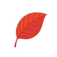 Beautiful leaf composition. Leaves change color in autumn vector