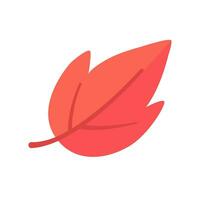 Beautiful leaf composition. Leaves change color in autumn vector