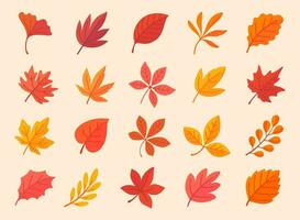 Autumn leaf collection Orange maple leaves in autumn simple design vector