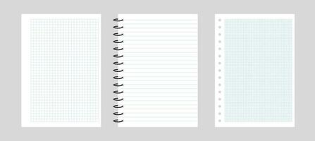 a cuadros papel y un línea en un cuaderno. papel antecedentes para web. blanco cuadernos con cuadrícula para deberes vector