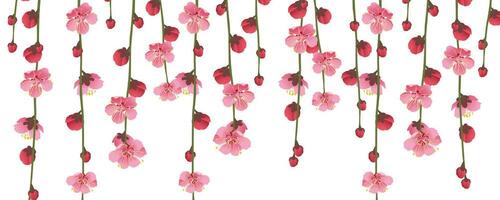 Hanging branches of Sakura on a white background. Designer cherry blossom banner with blur effect. Realistic vector graphics of pink flowers.