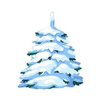 Vector illustration of a spruce covered with snow on a transparent background. A green fluffy pine isolated on a white background. Winter snow-covered tree. An element for a Christmas scene.