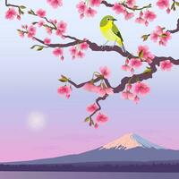 Realistic graphics of Uguisu and Sakura on a background of Fuji. Japanese Nightingale on a branch of blossoming cherries. Vector illustration of Bush Wabler. Fudjiyama in the sun.