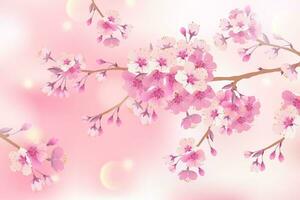 Branches of cherry blossoms on a soft light pink background. For Easter and spring cards with space for text. Floral spring abstract nature background. Branches with pink flowers. vector