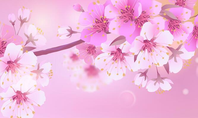 Branches of cherry blossoms on a soft light pink background. For Easter and spring cards with space for text. Floral spring abstract nature background. Branches with pink flowers.