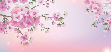 Spring soft background with a branch of cherry blossoms. Blooming cherry blossoms. Natural design. vector