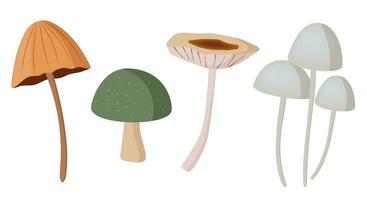 Different mushrooms set. Vector mushroom isolated on white.