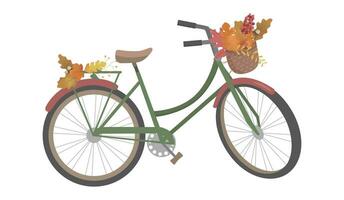 Retro bicycle with autumn leaves in floral basket and leaves on trunk. Color bike isolated on white background. vector