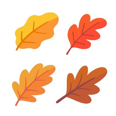 Beautiful leaf composition. Leaves change color in autumn