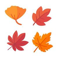 Beautiful leaf composition. Leaves change color in autumn vector