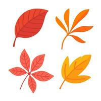 Beautiful leaf composition. Leaves change color in autumn vector