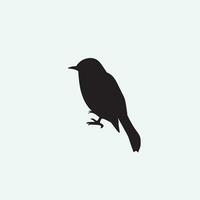 Bird vector png