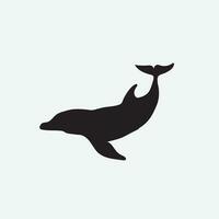 Dolphin vector png