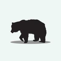 Bear vector png