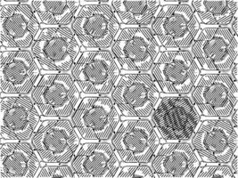 black and white of abstract pattern background photo