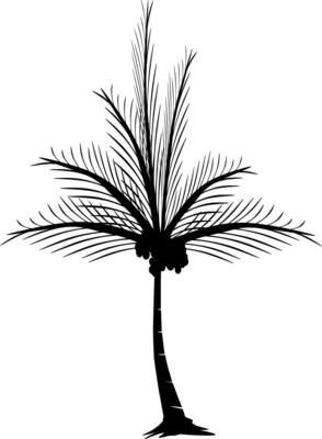 The illustrations and clipart, palm trees