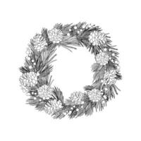 Christmas pinecone decoration plant frame drawing vector