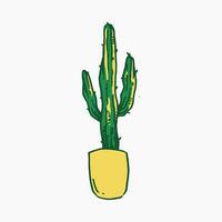 cactus plant in a pot with hand drawn style and colored. isolated on white background. vector graphic.