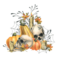 Human skulls with orange pumpkins, candles, night moths, cobwebs and autumn leaves. Hand drawn watercolor illustration for Halloween and Day of the Dead. Isolated composition png