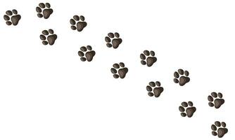 Paw vector foot trail print of cat, dog, pattern animal tracks isolated on white background. Diagonal tracks for backgrounds, patterns, websites, showcases design, greeting cards, child prints