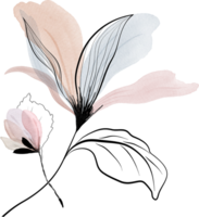 rosado floral acuarela png