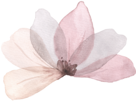 pastel fleur aquarelle png