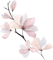 Pink Flowers Branches Watercolor png