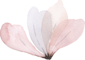 Pastel Flower Watercolor png