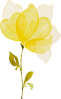 acuarela flor amarilla png