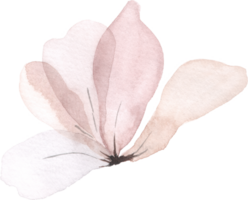 pastell blomma vattenfärg png