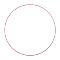 Circle shape, pink gradient 3d rendering. png